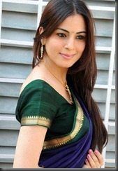 Shraddha-Arya_in saree