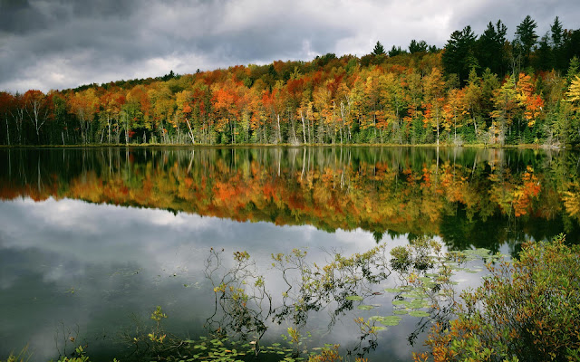 Hermosos Paisajes Reflexionados