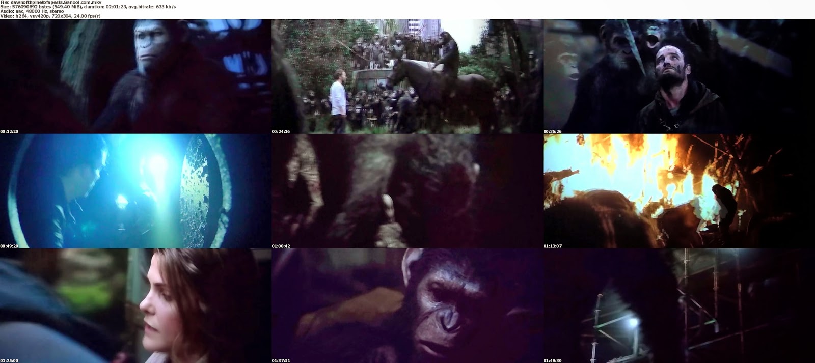 Dawn of the Planet of the Apes 2014  DIAZBOX
