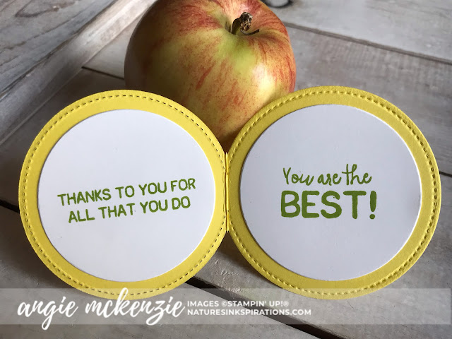 By Angie McKenzie for JOSTTT008 Design Team Inspirations; Click READ or VISIT to go to my blog for details! Featuring the retired Picked for You Stamp Set, Layering Circles Dies, Stitched Shapes Dies; #apples #pickedforyoustampset #envelopedesigns #stationerybyangie #teachercards #circlecards #makingotherssmileonecreationatatime #cardtechniques #stampinup #handmadecards