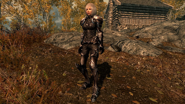 Custom armor for The Elder Scrolls V Skyrim