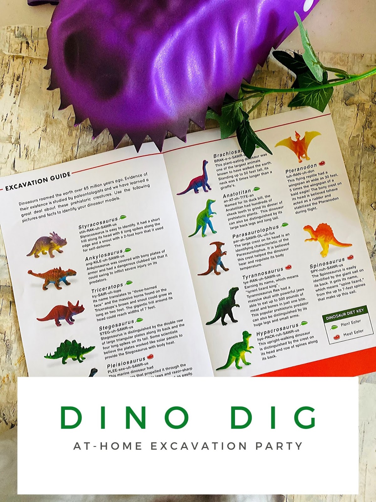 Dinosaur Themed Kids Party