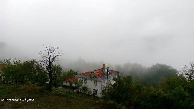 yağmurlu ve sisli hava