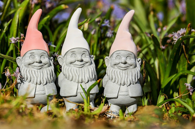 A row of  gnomes in a garden
