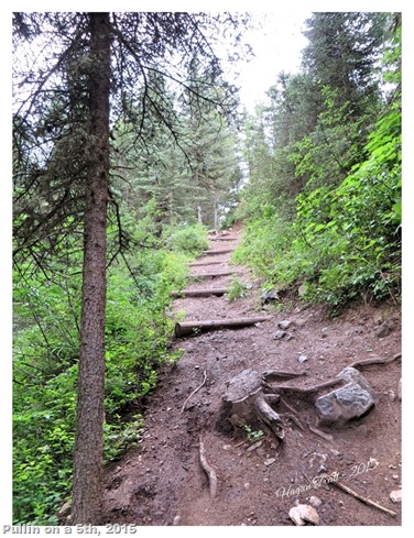 The Hagen mountain bike trail 