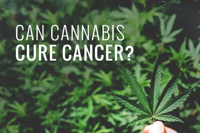 9 Types Of Cancer That Can Be Killed By Cannabis (Here’s How)