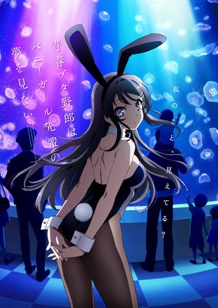 Seishun Buta Yarou wa Bunny Girl Senpai  no Yume wo Minai 