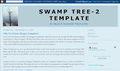 Two Column Layout from Deluxe Blogger Template