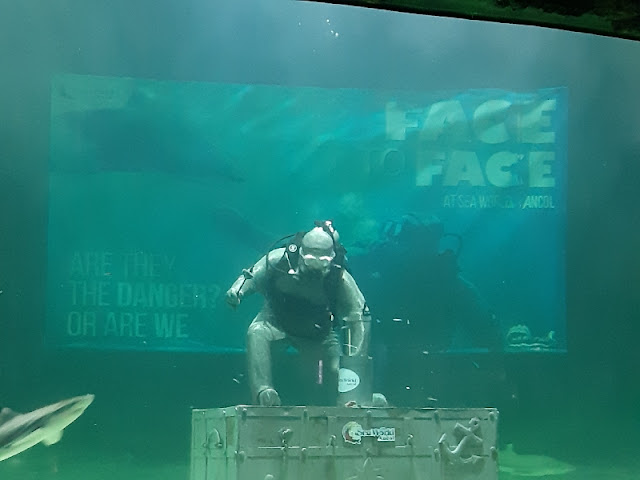 Live Feeding Shark: Face to Face di Seaworld Ancol