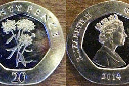 Gibraltar 20 pence 2014 - Flower design