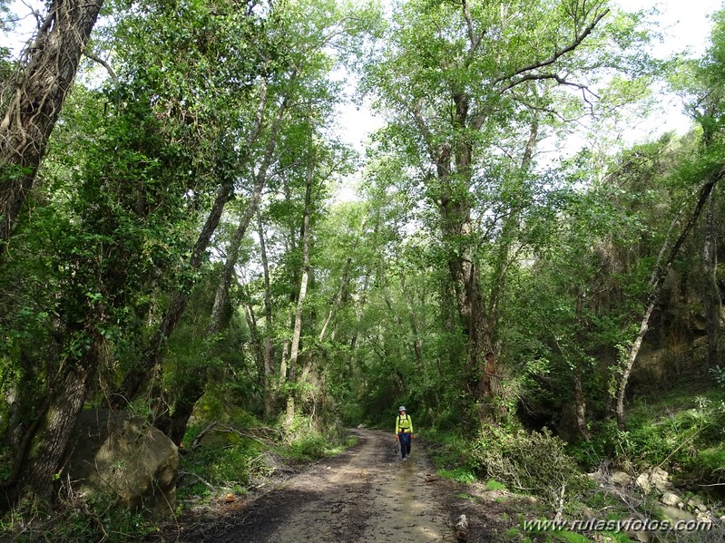 Peguera - Piedra del Padrón - Cortijo del Hato o San José de Casas Nuevas