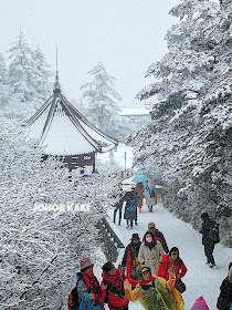 Mount Emei Shan & Golden Buddha - Sichuan's Sacred Mountain in Winter 峨眉山