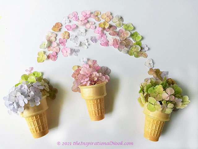 Dried hydrangeas in ice cream cones