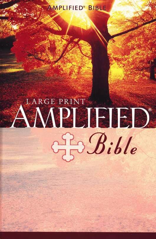  AMPLIFIED BIBLE .pdf