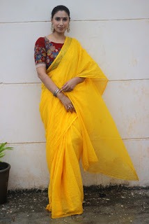 Classic Blouse for Saree