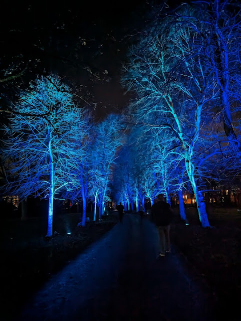 Northern Lights Newcastle | Light Trail Review