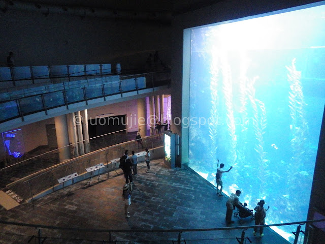 Kenting National Museum of Marine Biology and Aquarium