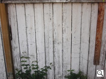 Casio Exilim EX-FS10