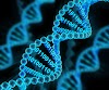 Quantum effects help make DNA unstable