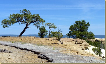 P1280596