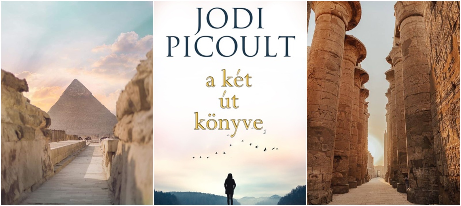 Jodi Picoult - A ​két út könyve