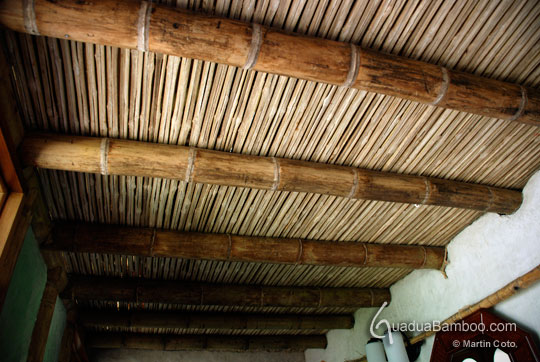 Bamboo Ceiling6