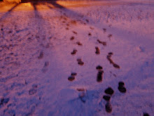 Do We Leave Footprints on the lives of others like these on the snow?