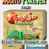 Mario Forever 4 PC Game Full Version Free Download