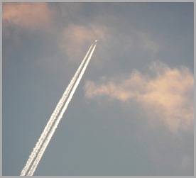 101_7957
