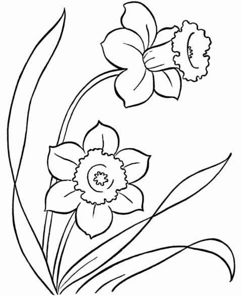 Pretty Flower Pictures To Color