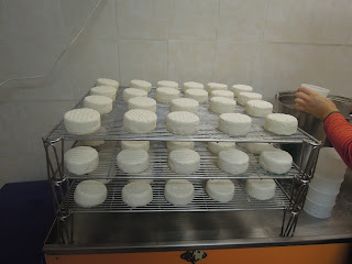 france goat cheese