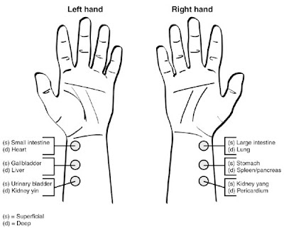 Put your finger on it: major points used in pulse diagnosis