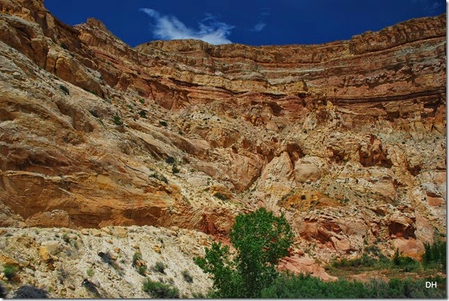 05-25-14 C Capital Reef NP East Side (2)