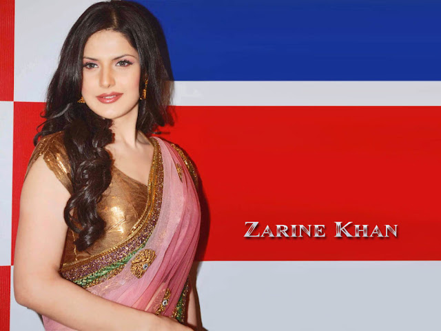 zarine khan hot photos & zarine khan hot pictures