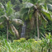 View album