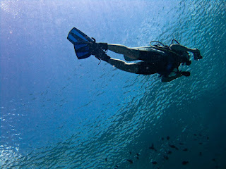 Nusa Penida's Underwater Ballet: Diving with Manta Rays