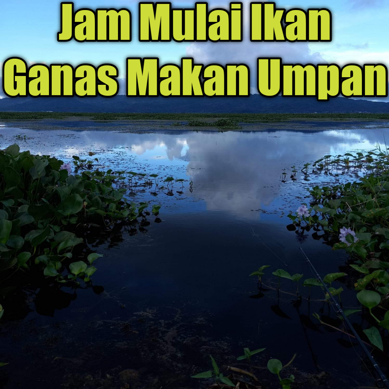 pemancing yang sudah tau jam makan ikan pergi pasti tepat waktu