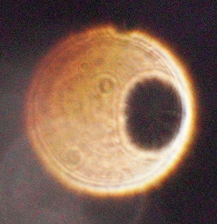 orange orb with oval hole