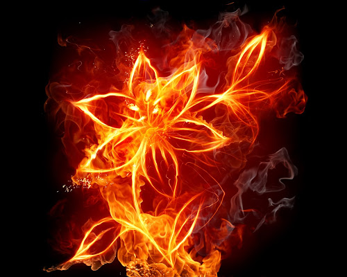 wallpaper api, wallpaper keren, fire element