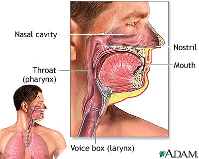 heart attack diagram. heart attack diagram. heart