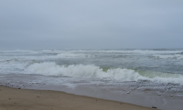 Wordless Wednesday:  Cape Cod 2015 Pictures --Marconi Beach -- How Did I Get Here? My Amazing Genealogy Journey