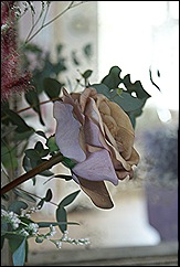 blog 9