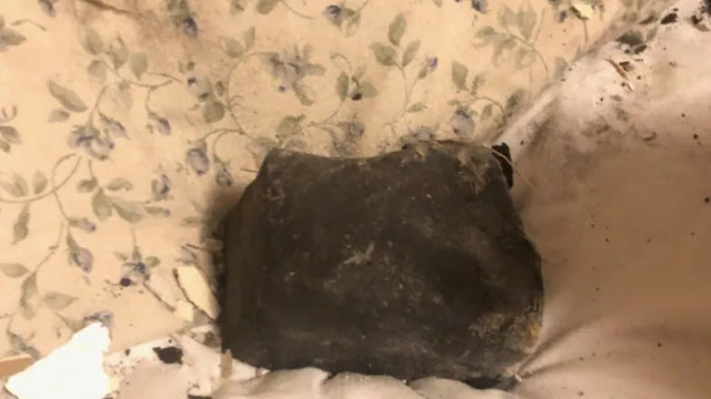 meteorito  cama