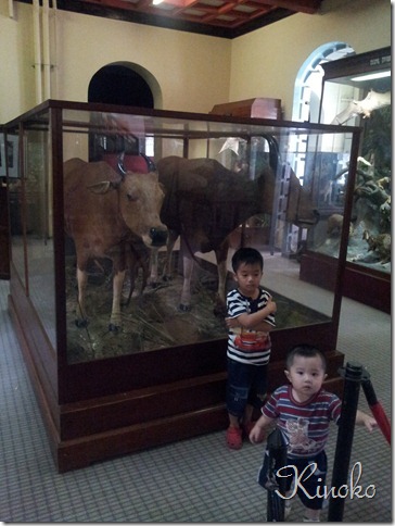 20130502_133555