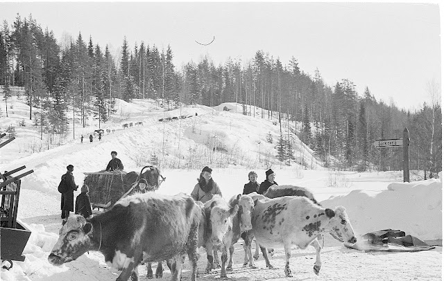 Fotografías de la Guerra de Invierno entre Finlandia y la Unión Soviética