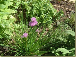 DSCF0001