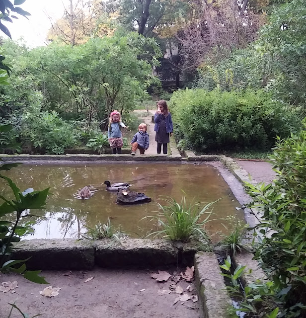 Le jardin des Plantes de Montpellier