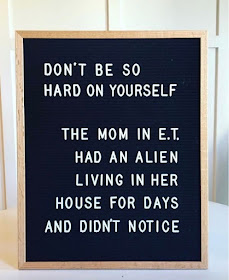 #WeeklyWisdom:  Don't Be So Hard On Yourself. The Mom in E.T. Had An Alien Living In Her House For Days And Didn't Notice.
