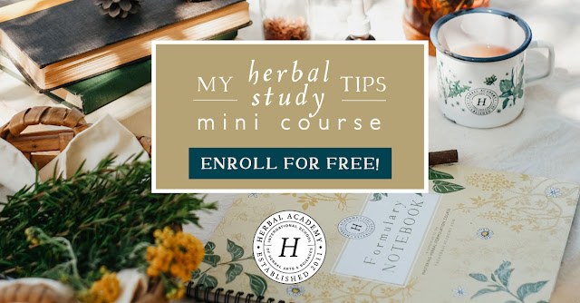 My Herbal Study Tips Mini Course Free, Closes January 31st