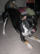 Tia